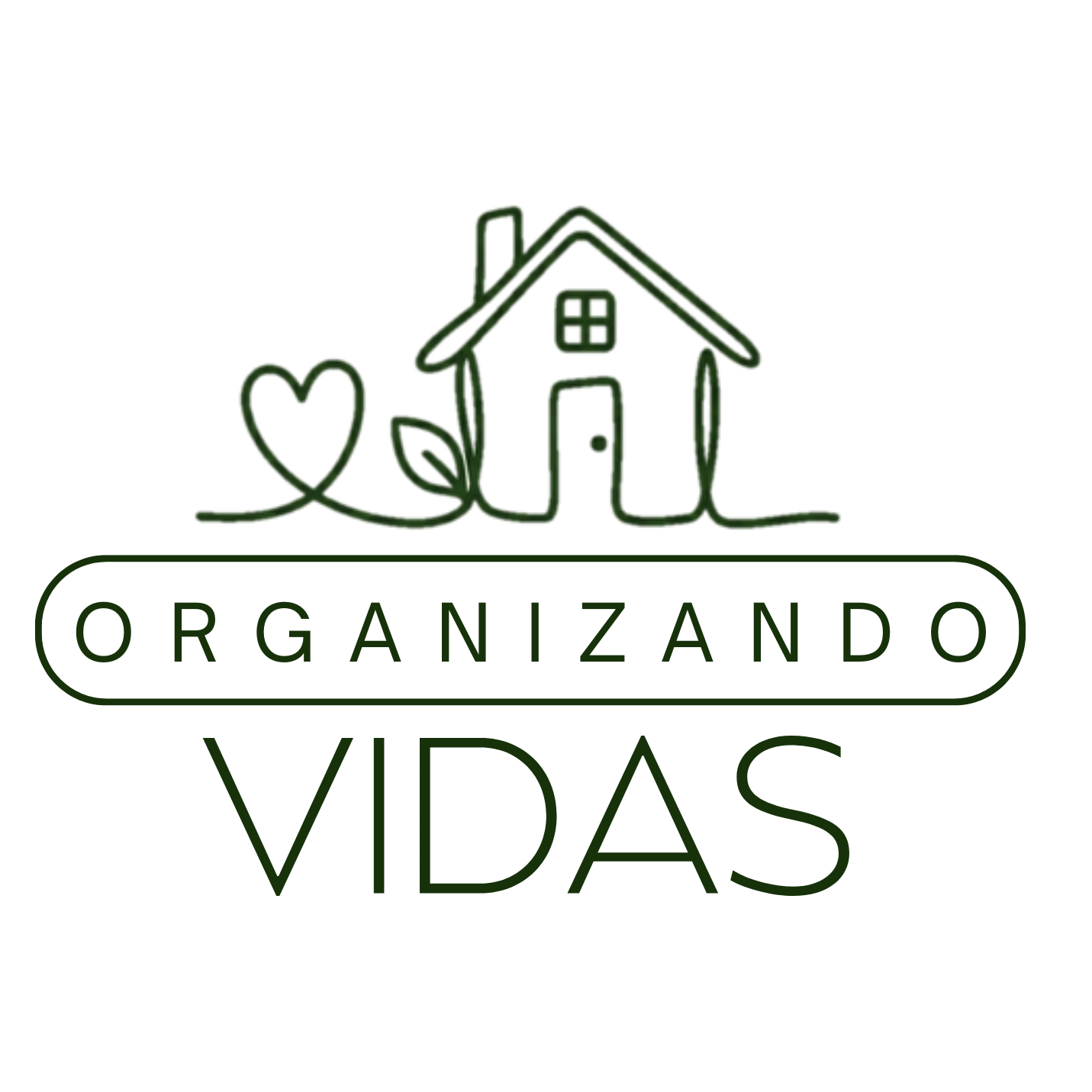 Organizando Vidas